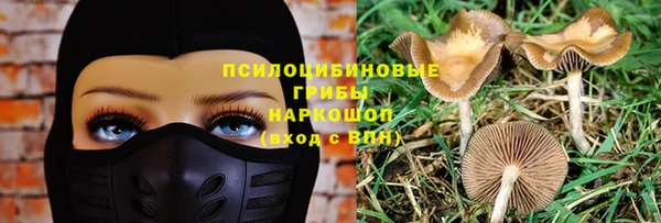 гашик Михайловка