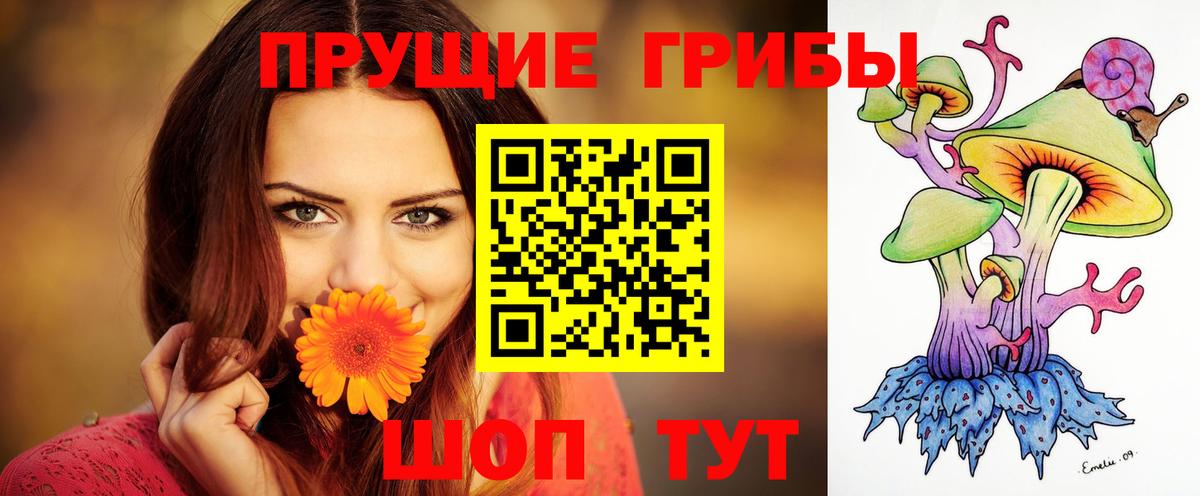 Псилоцибиновые грибы GOLDEN TEACHER Саки