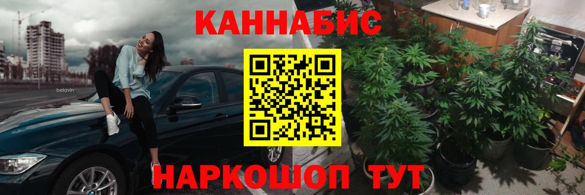 Бошки Шишки гибрид  Саки  Бошки марихуана сатива  Марихуана планчик  МАРИХУАНА VHQ 